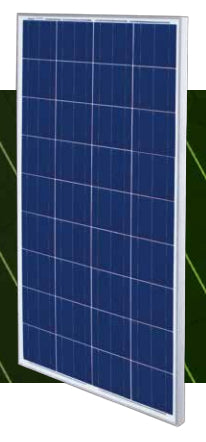 Cenergy Solar Co., Limited - Solarmodul - P36PCS-140-155 140 - Art. 171773