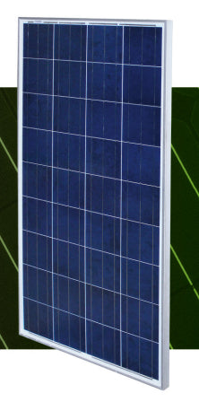 Cenergy Solar Co., Limited - Solarmodul - P36PCS-150-170 155 - Art. 171777