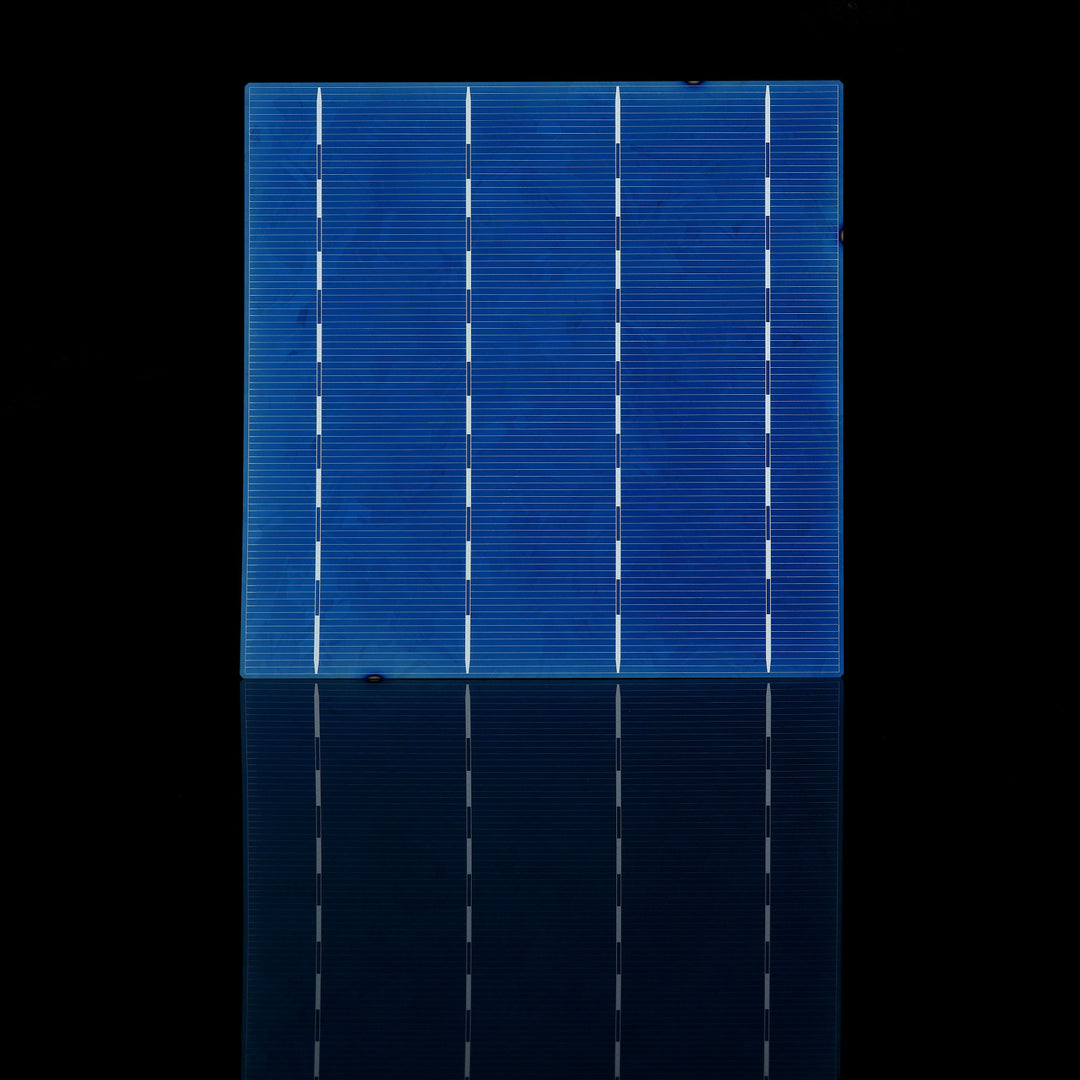 CECEP Solar Technology (Zhenjiang) Co., Ltd. - Zellen - P4-P P4-P - Art. 14386