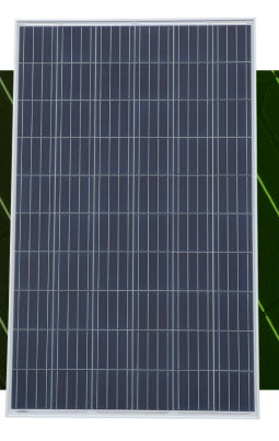 Cenergy Solar Co., Limited - Solarmodul - P60PCS-250-280 260 - Art. 171626
