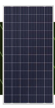 Cenergy Solar Co., Limited - Solarmodul - P72PCS-290-340 340 - Art. 171756