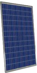 Novergy Energy Solutions Pvt. Ltd. - Solarmodul - PCAL Series (72 Cells) 300-350W PCAL 330 - Art. 123034