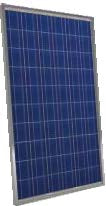Novergy Energy Solutions Pvt. Ltd. - Solarmodul - PCA Series (60 Cells) 250-295W PCA 265 - Art. 123052