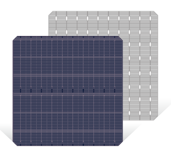 TN Solar Co., Limited - Zellen - PERC 182mm 10BB 7,49 - Art. 26917