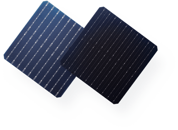 Wuxi Elite Solar Power Holding Pte. Ltd. - Zellen - PERC ET-P-183.75R-10BB-Bifacial 7,66 - Art. 28886