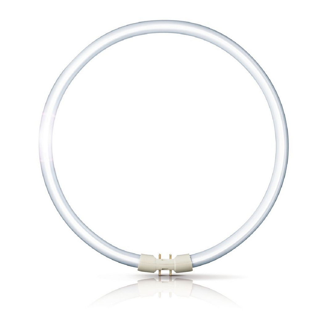 PHILIPS Fluorescent Tube MASTER TL5 Circular 55W/840 - Art. 64251625
