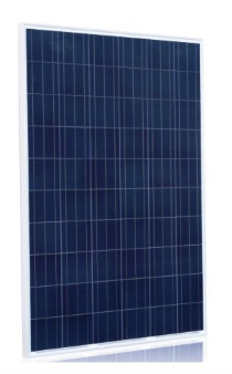 POD Technology Pvt Ltd - Solarmodul - POD-P-300 300W - Art. 136990