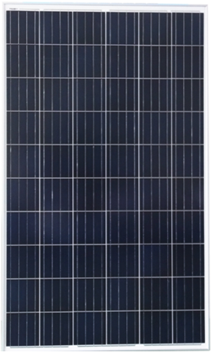 Plus Power Tech Co., Ltd. - Solarmodul - PP-255W-275W PP-275W - Art. 124329