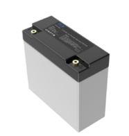 Dongguan Power Long Battery Technology Co., Ltd. - Speicher - PT-12.8-76.8V PT-76,8V3Ah - Art. 35640
