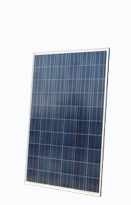 Swisswatt AG - Solarmodul - PW240-260 60c PW245 - Art. 38623
