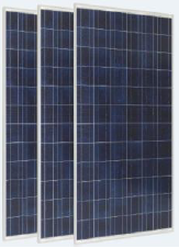 Qingdao Power World Co., Ltd. - Solarmodul - PW5-165Wp-156-36P PW135Wp-156-36P - Art. 126511