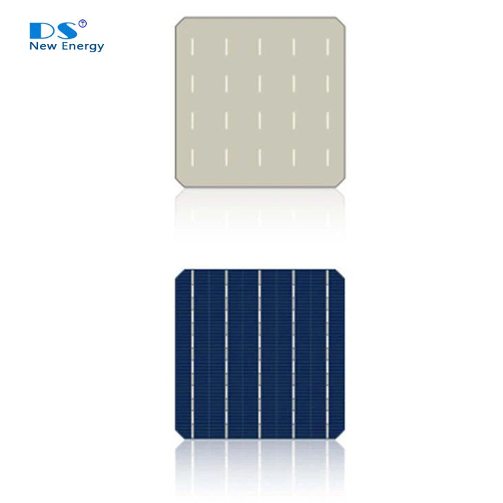 Zhejiang Dong Shuo New Energy Co., Ltd. - Zellen - P Type Mono PERC 156.75 Solar Cell 20 - Art. 29421