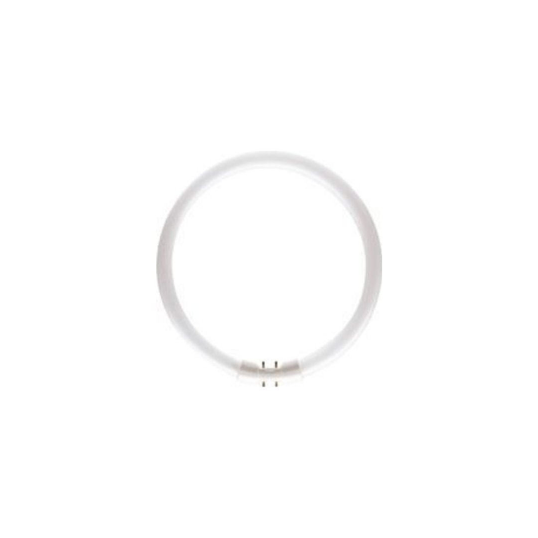 Philips FLUORESCENT TUBE MASTER TL5 Circular 22W/840 -Art. 64221925