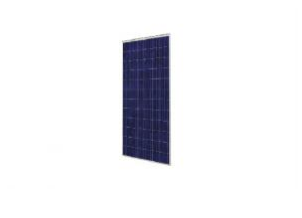 Daqo Group Co., Ltd. - Solarmodul - Poly 195-315 DQ215PSC - Art. 116214