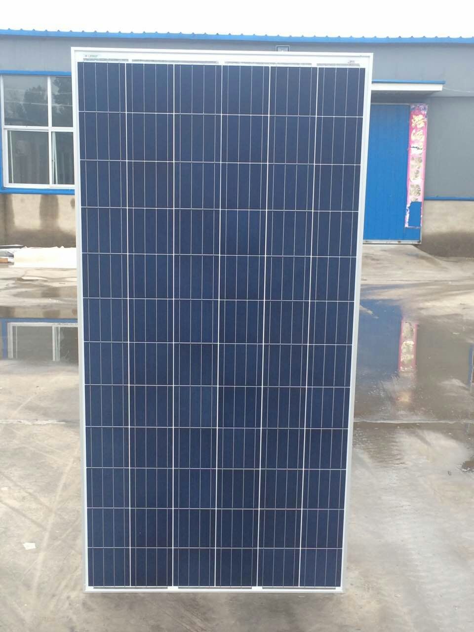 Hebei BangGu Technology Co., Ltd. - Solarmodul - Poly 300W 300 - Art. 184679