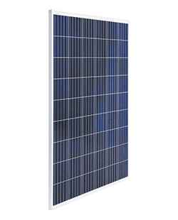 Polycab India Ltd - Solarmodul - Poly 72 Cell 315-335W PIL 330HP - Art. 176719