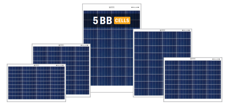 Bluebird Solar Pvt. Ltd. - Solarmodul - Poly BBS12C100 BBS12C100 - Art. 181332