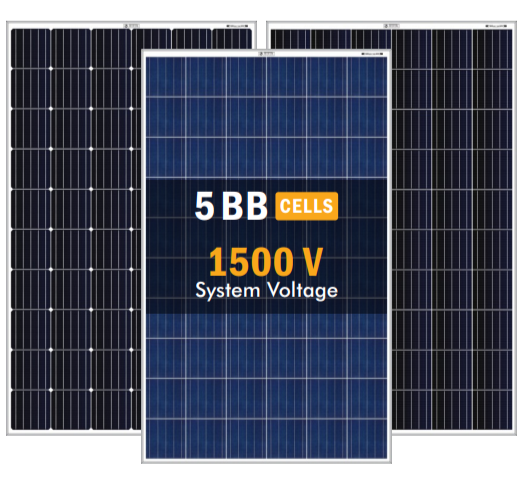 Bluebird Solar Pvt. Ltd. - Solarmodul - Poly BBS24F250-280W BBS24F270 - Art. 181340