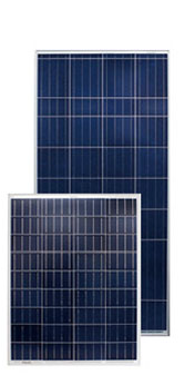 Nantong Qiangsheng Photovoltaic Technology (QS Solar) Co., Ltd. - Solarmodul - Poly Crystalline 150W 150W - Art. 239680