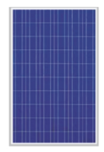 Deepa Solar Systems Pvt. Ltd. - Solarmodul - Poly DSL12150 DSL12150 - Art. 190204