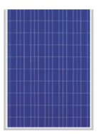 Deepa Solar Systems Pvt. Ltd. - Solarmodul - Poly DSL24200 DSL24200 - Art. 190214