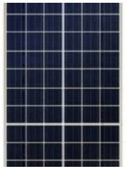 Sanelite Solar Pvt Ltd - Solarmodul - Poly Sky Series 250-270W SS250 - Art. 103963
