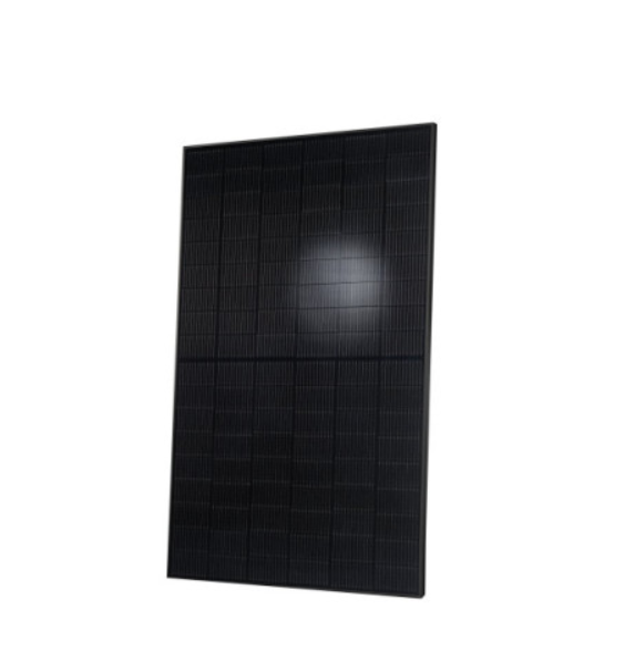 Q-CELLS Solarmodul Q.PEAK DUO BLK M G11S 405/113