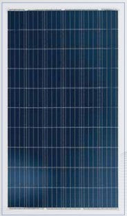 Nantong Qiangsheng Photovoltaic Technology (QS Solar) Co., Ltd. - Solarmodul - QSDGP/255-265Wp QSDGP-265 - Art. 114938