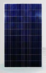 Nantong Qiangsheng Photovoltaic Technology (QS Solar) Co., Ltd. - Solarmodul - QSP6-72/305-320W QSP6-72/305 - Art. 88860