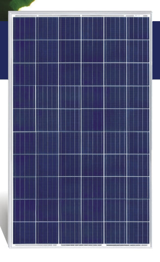 Jiangxi Risun Solar Energy Co., Ltd. - Solarmodul - RGM60P 295-315W RGM60P 305 - Art. 190409