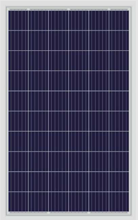 Rosen Solar Energy Co., Ltd. - Solarmodul - RS60P Series 265-285W RS270P-60 - Art. 143491