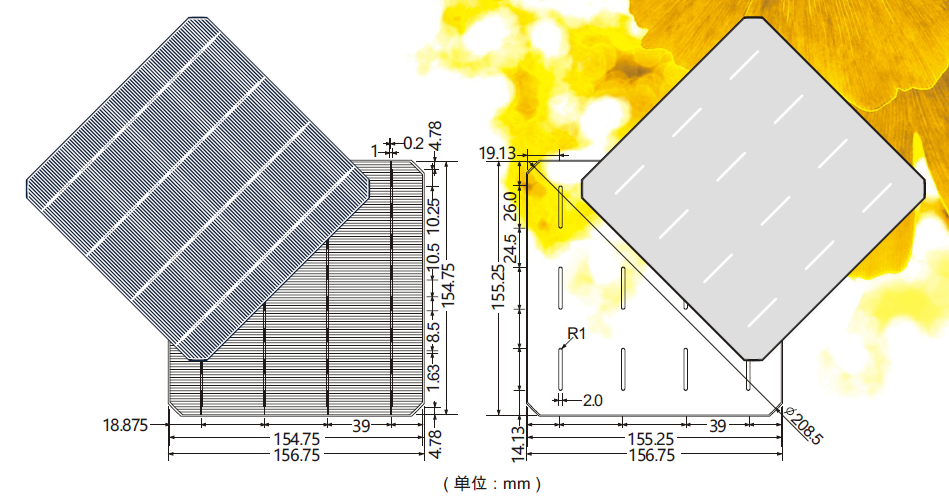 Jiangxi Risun Solar Energy Co., Ltd. - Zellen - RSC156M-PID Resistant 4BB 4,74 - Art. 14403