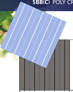 Jiangxi Risun Solar Energy Co., Ltd. - Zellen - RSC156P(DW)-PID Resistant 4BB(D) 4,5 - Art. 25541