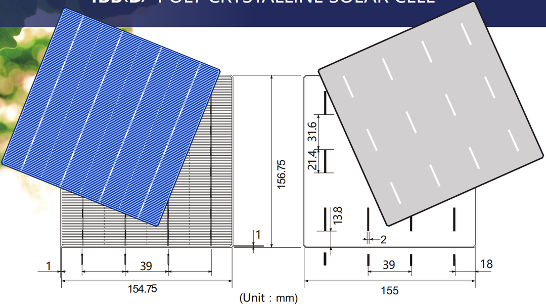 Jiangxi Risun Solar Energy Co., Ltd. - Zellen - RSC156P(E)-PID 4BB(D) 4,47 - Art. 16806