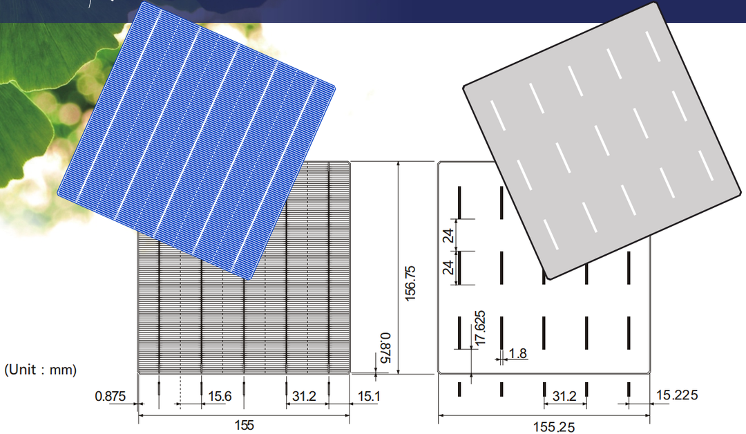 Jiangxi Risun Solar Energy Co., Ltd. - Zellen - RSC156P(E)-PID 5BB(C) 4,5 - Art. 16811