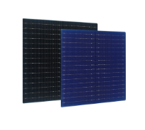 Jolywood (Suzhou) Solar Technology Co., Ltd - Zellen - R series ZL-N183.75R16B-L24-T4 Bifacial n-TOPCon 8,27 - Art. 28396