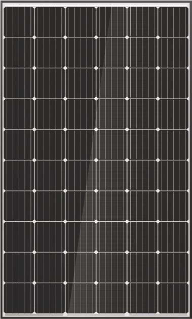 Nyalkaran Energy LLP - Solarmodul - Rigel Mono PERC NE295-330M NE295M - Art. 182305