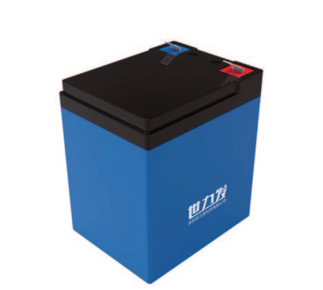 Shenzhen Shilifa Technology Co., Ltd. (SLIONE) - Speicher - S12-06\S12-08 S12-08 - Art. 35323