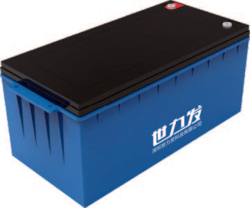 Shenzhen Shilifa Technology Co., Ltd. (SLIONE) - Speicher - S12-400\S24-100\S24-200 S12-400 - Art. 35330