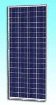 Sundisk Solar Technology Co., Limited - Solarmodul - SDP-130P SDP-130P - Art. 186976