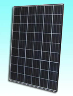 Sundisk Solar Technology Co., Limited - Solarmodul - SDP-190P SDP-190P - Art. 186977