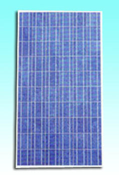 Sundisk Solar Technology Co., Limited - Solarmodul - SDP-220P SDP-220P - Art. 186978