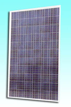 Sundisk Solar Technology Co., Limited - Solarmodul - SDP-245P SDP-245P - Art. 186979