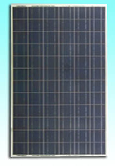 Sundisk Solar Technology Co., Limited - Solarmodul - SDP-280P SDP-280P - Art. 186980