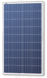 Solarland USA Corporation - Solarmodul - SLP100-12C1D2 SLP100-12C1D2 - Art. 173576