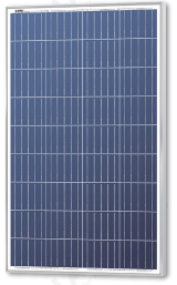 Solarland USA Corporation - Solarmodul - SLP100-12U SLP100-12U - Art. 173625