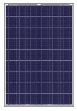 ShaanTech Energy Solutions Pvt Ltd - Solarmodul - SLR-PNL-250W-201E-P SLR-PNL-250W-201E-P - Art. 141586