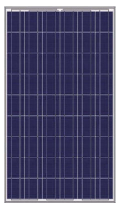 ShaanTech Energy Solutions Pvt Ltd - Solarmodul - SLR-PNL-300W-301E-P SLR-PNL-300W-301E-P - Art. 141588