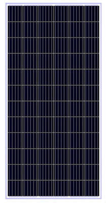 Shanghai SMG Energy Co., Ltd. - Solarmodul - SMG-310-320-36-P SMG-320-36-P - Art. 221987