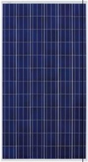 Suntastic Solar Systems Pvt Ltd - Solarmodul - SSS-250 SSS-250 - Art. 136123